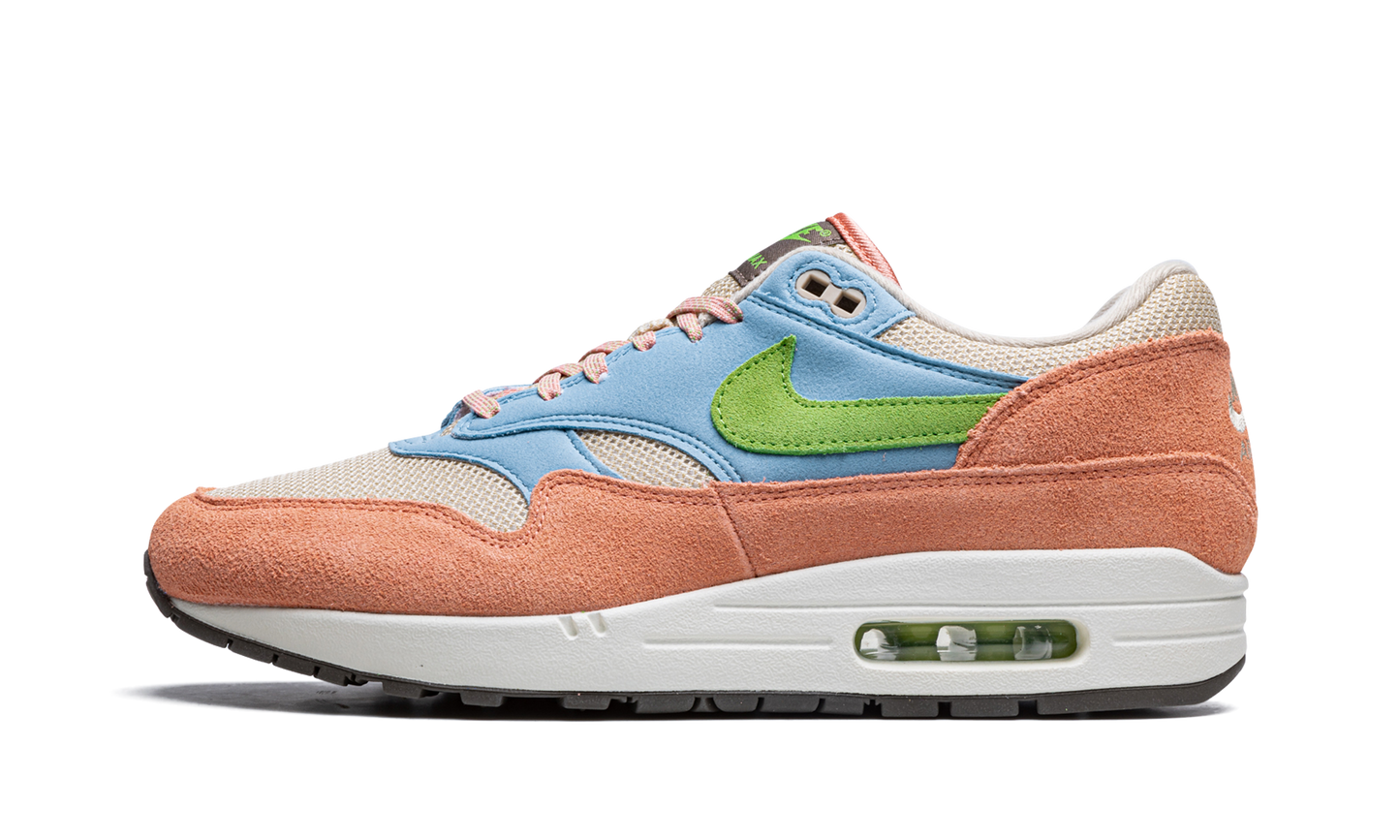 Air Max 1 Light Madder Root