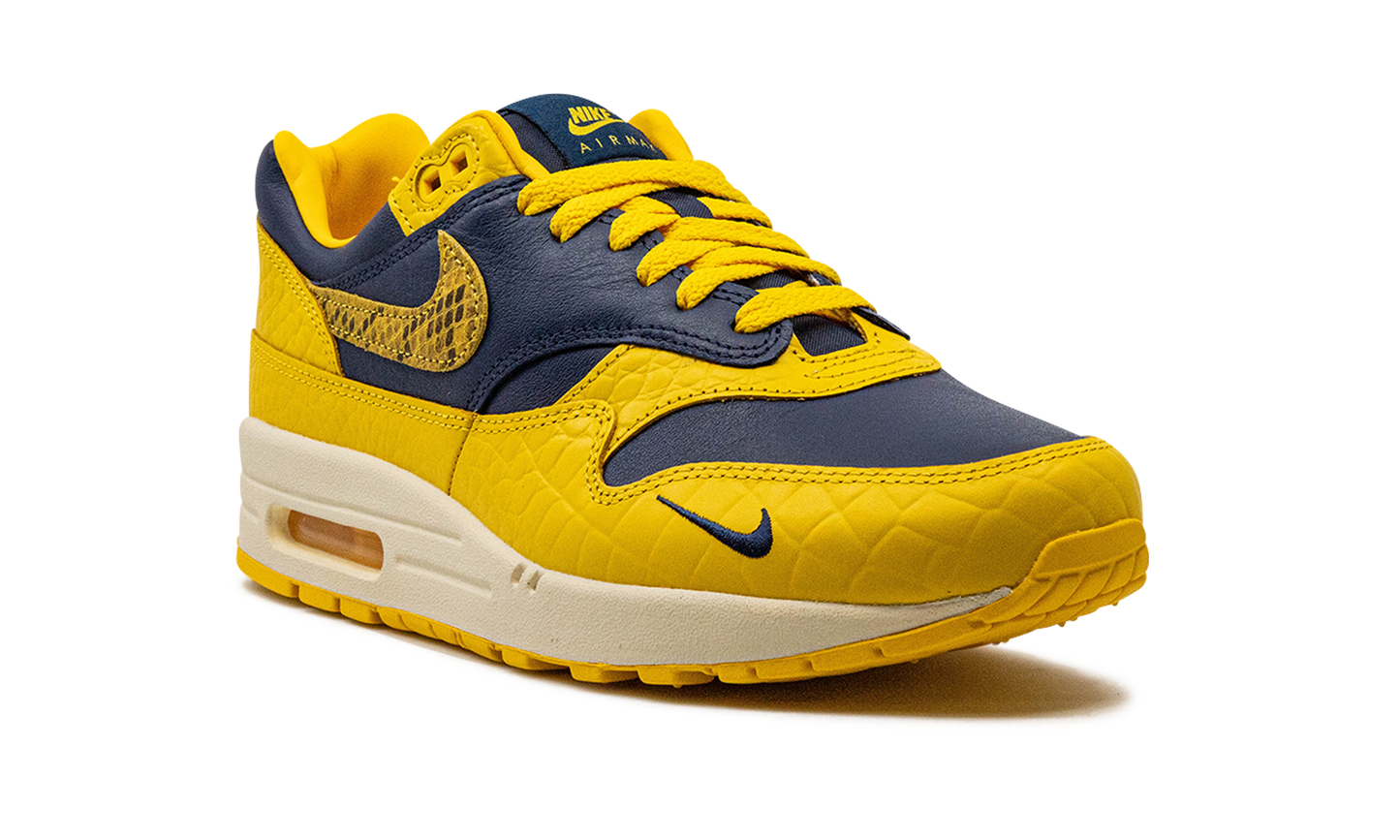 AIR MAX 1 PRM MNS WMNS Co.jp Head to Head
