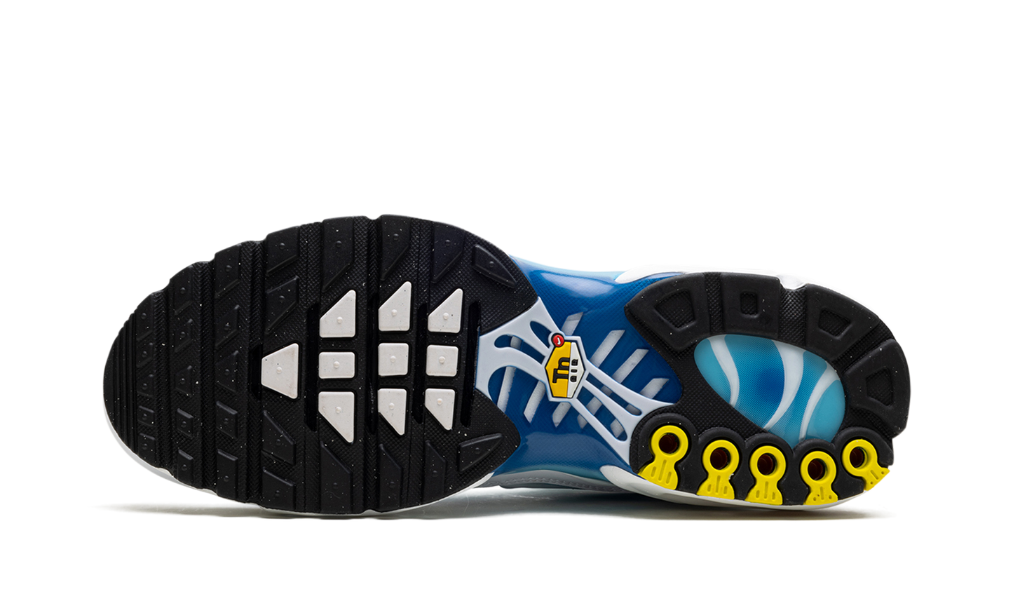 Air Max Plus Blue Gaze