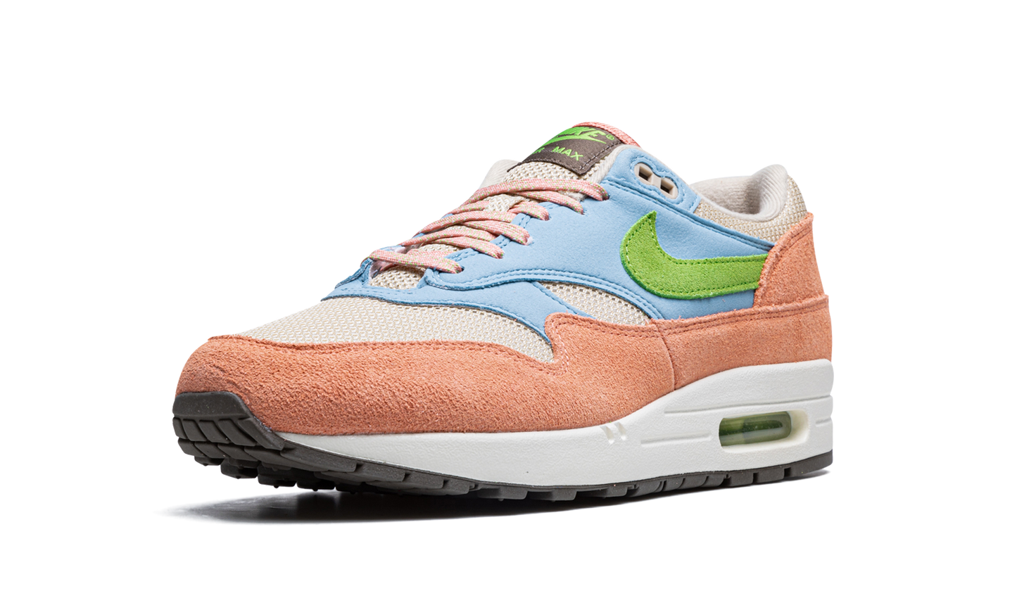 Air Max 1 Light Madder Root