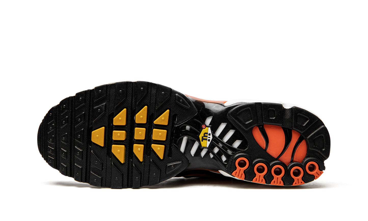 Air Max Plus