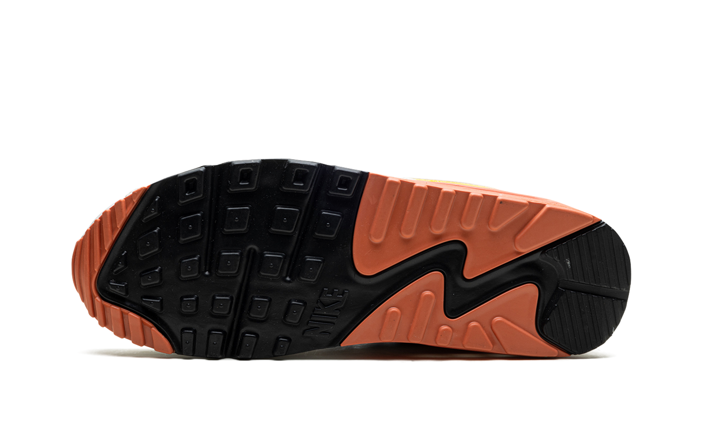 AIR MAX 90 MNS WMNS