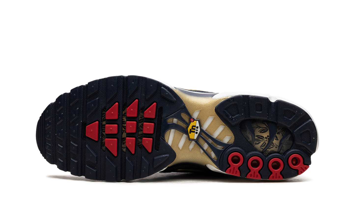 Air Max Plus FFF