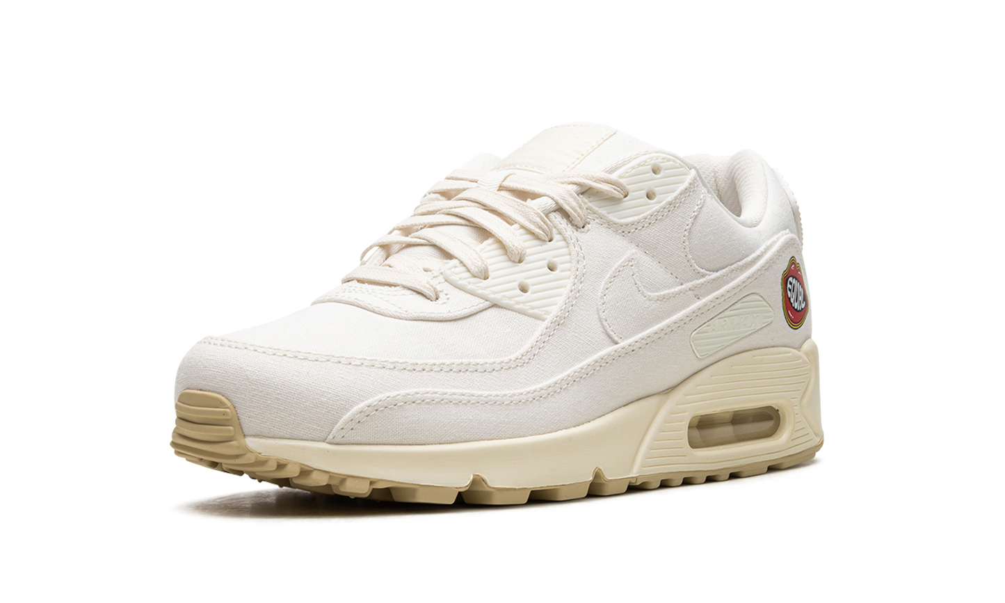 AIR MAX 90 MNS WMNS The Future is Equal