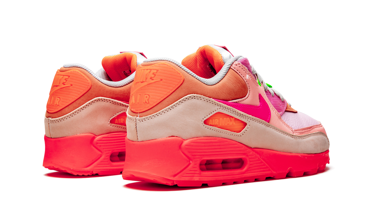 AIR MAX 90 PRM WMNS Platinum Crimson/Bright Purple