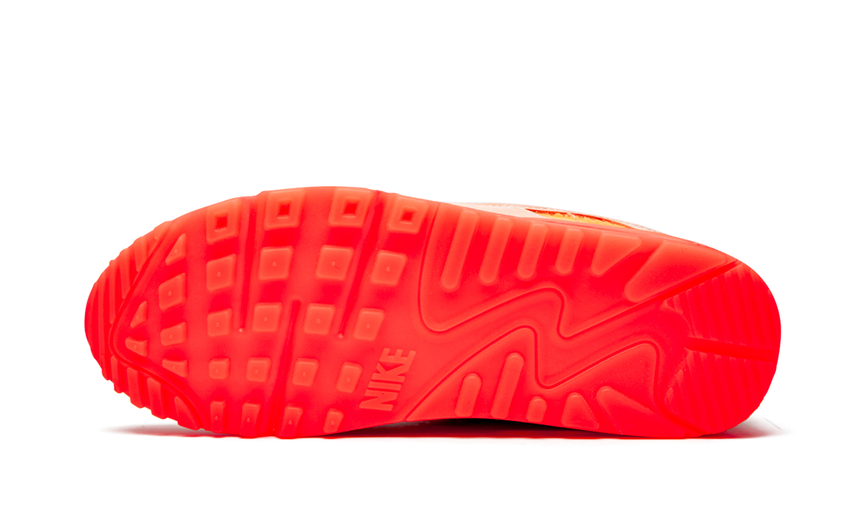 AIR MAX 90 PRM WMNS Platinum Crimson/Bright Purple