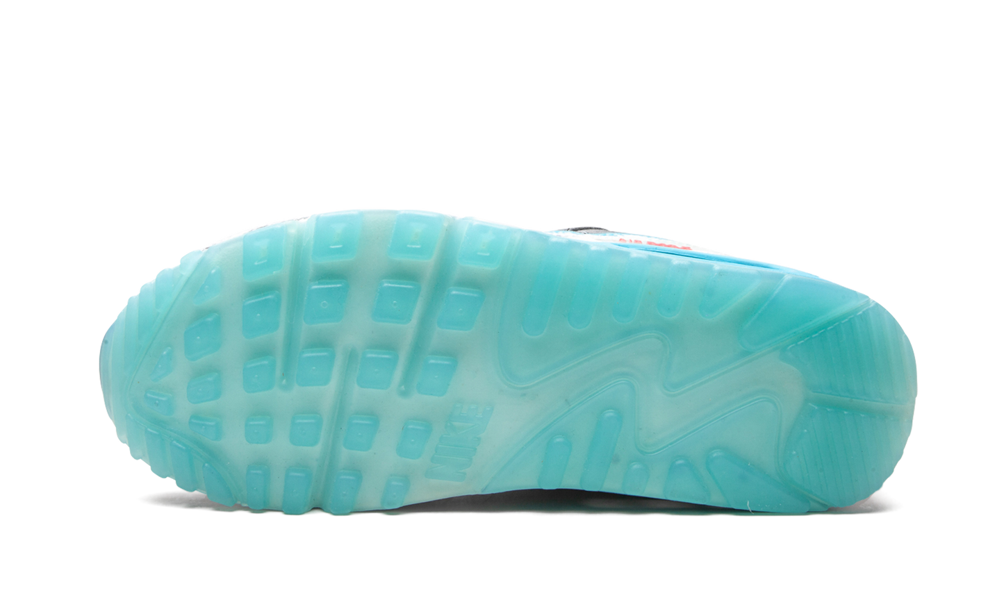 AIR MAX 90 MNS WMNS Rice Ball