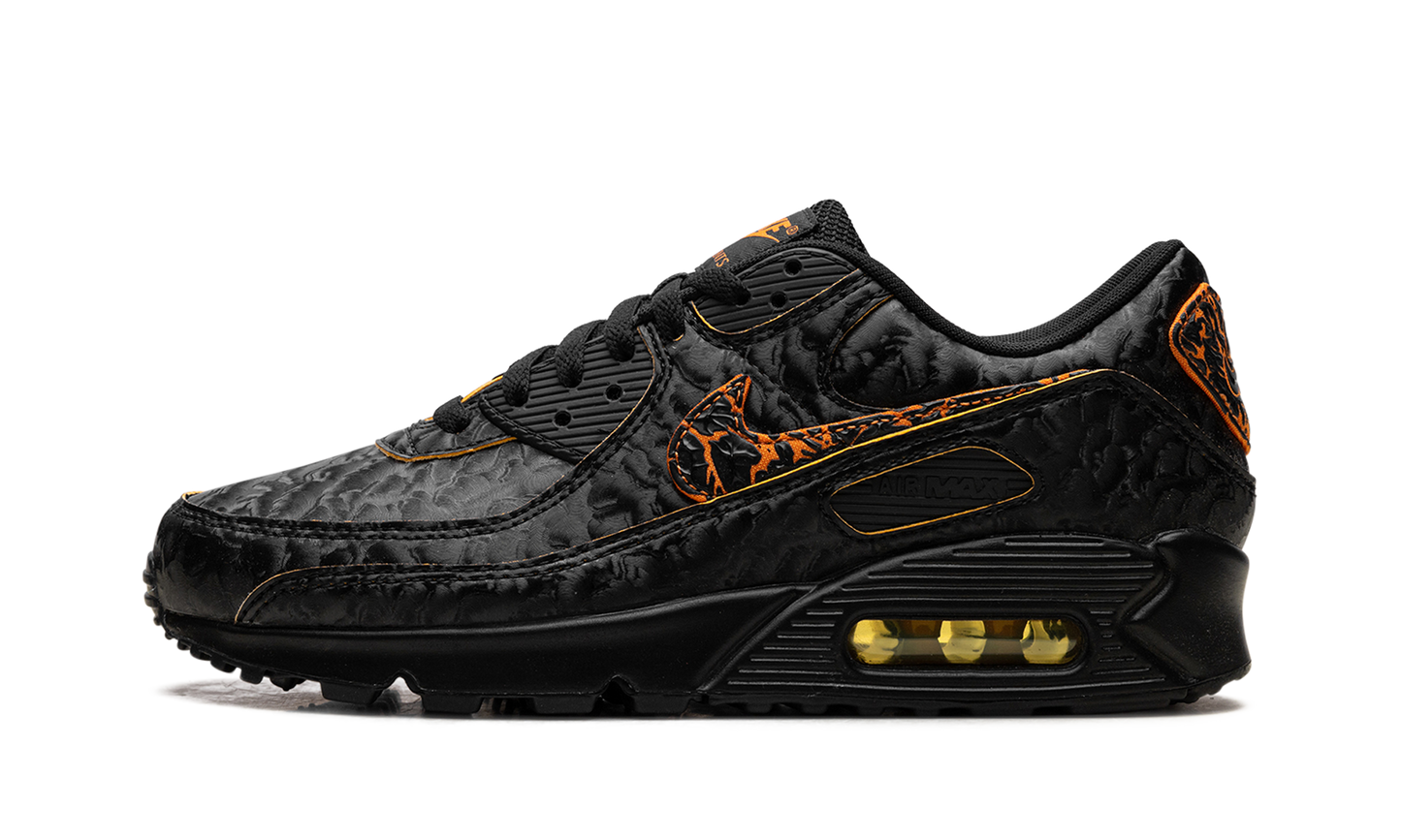 Air Max 90 Volcano
