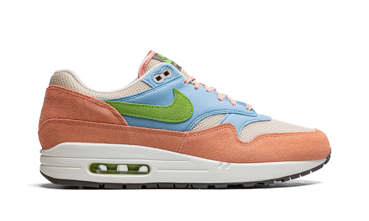 Air Max 1 Light Madder Root