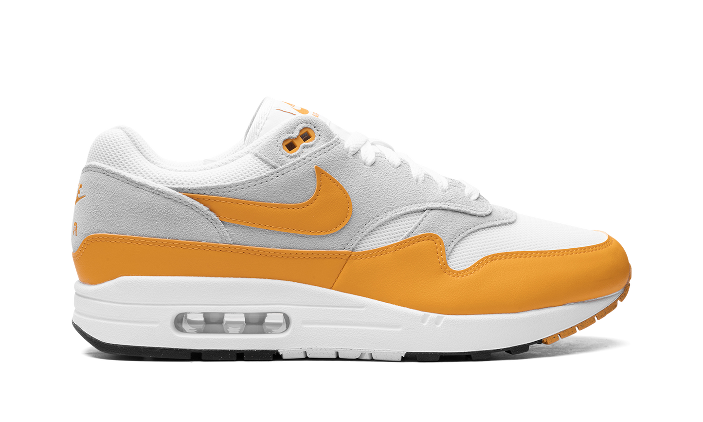 Air Max 1 Gold