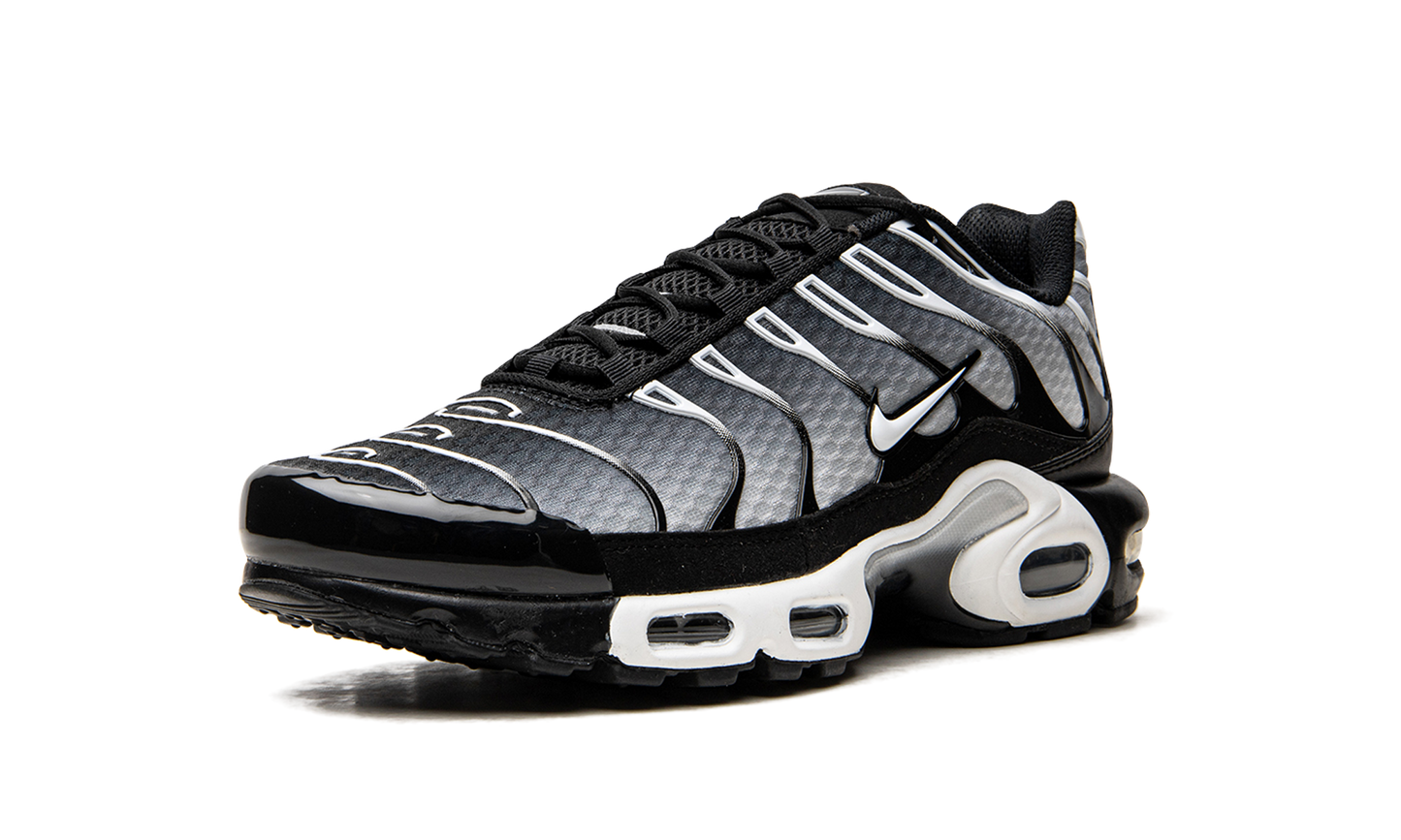 Air Max Plus Black / Silver