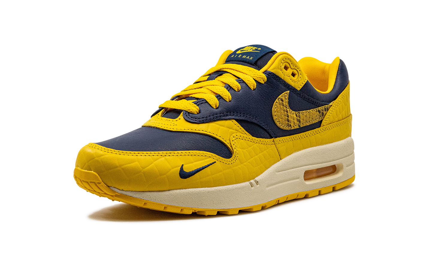 AIR MAX 1 PRM MNS WMNS Co.jp Head to Head