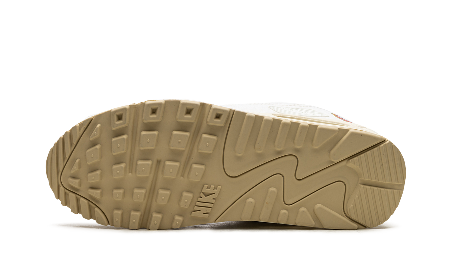 AIR MAX 90 MNS WMNS The Future is Equal