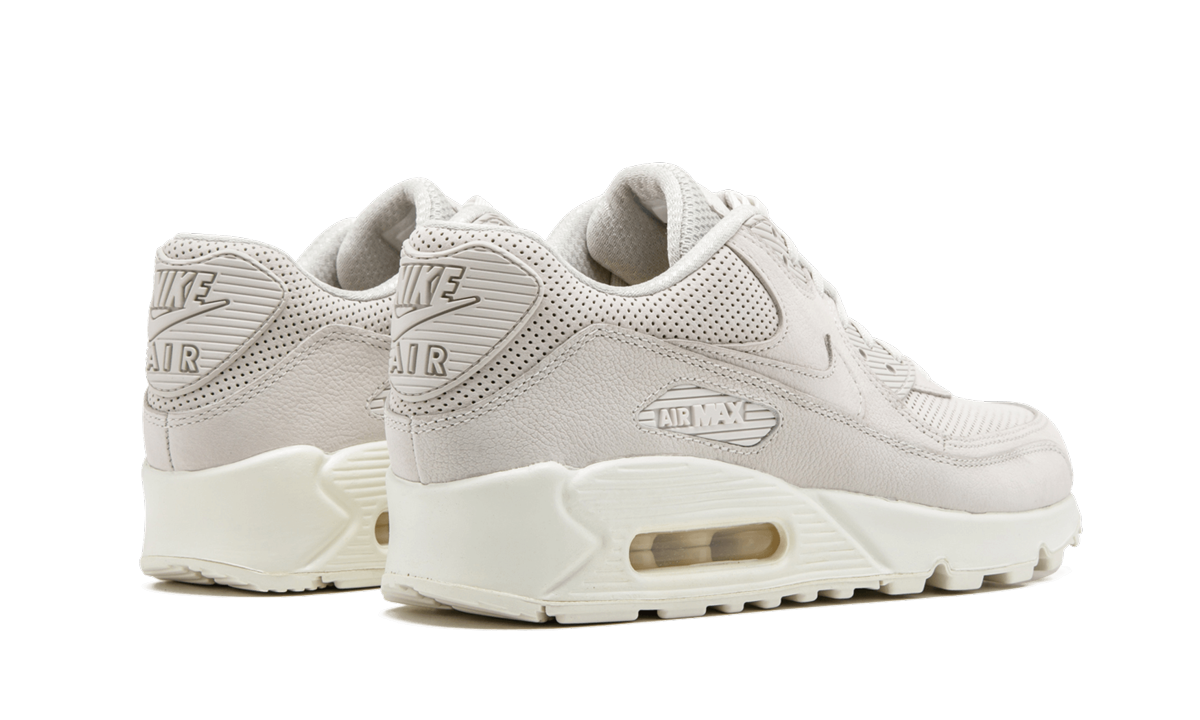 AIR MAX 90 PINNACLE MNS WMNS tan