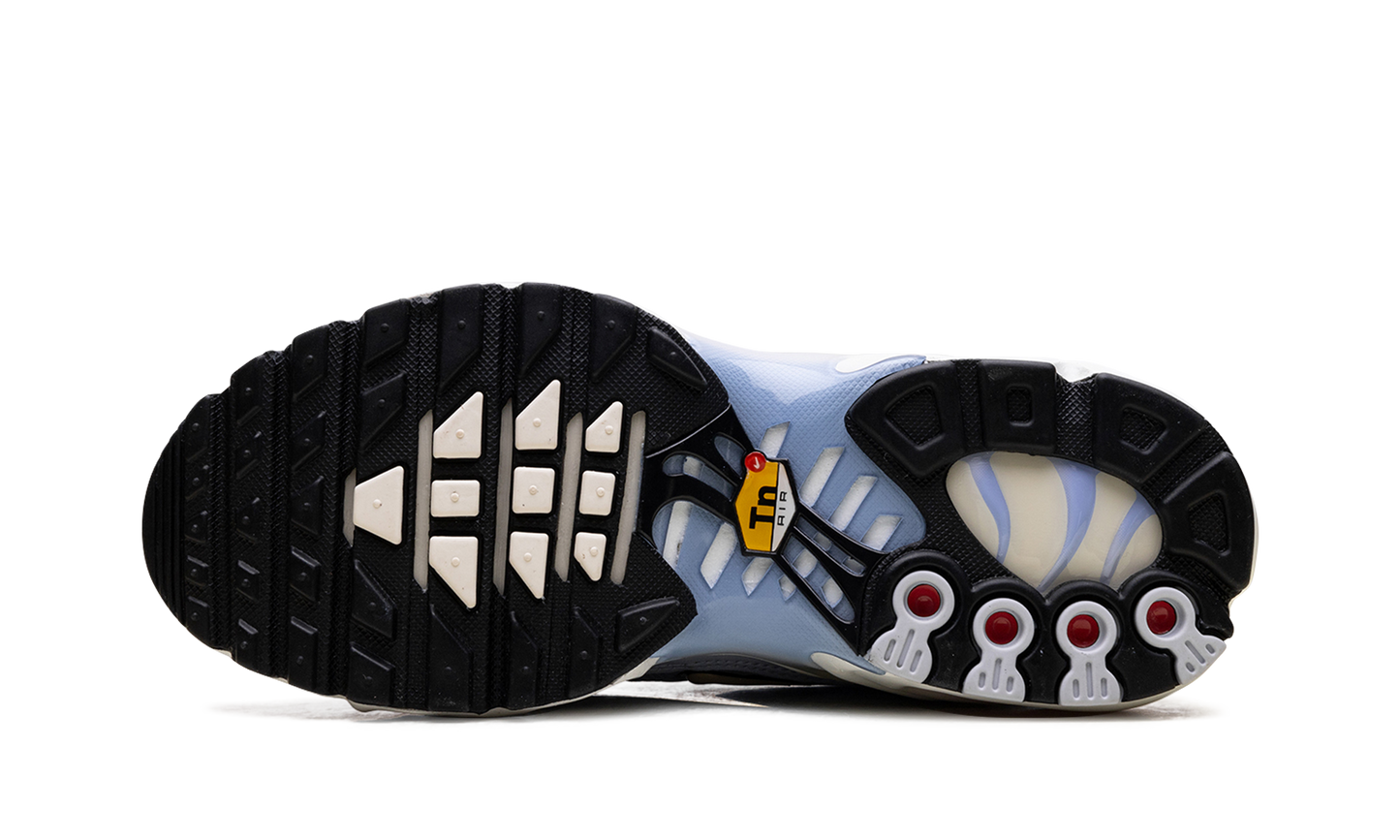 Air Max Plus WMNS Daybreak