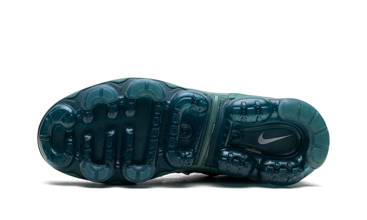Air Max VaporMax Plus WMNS Bicoastal