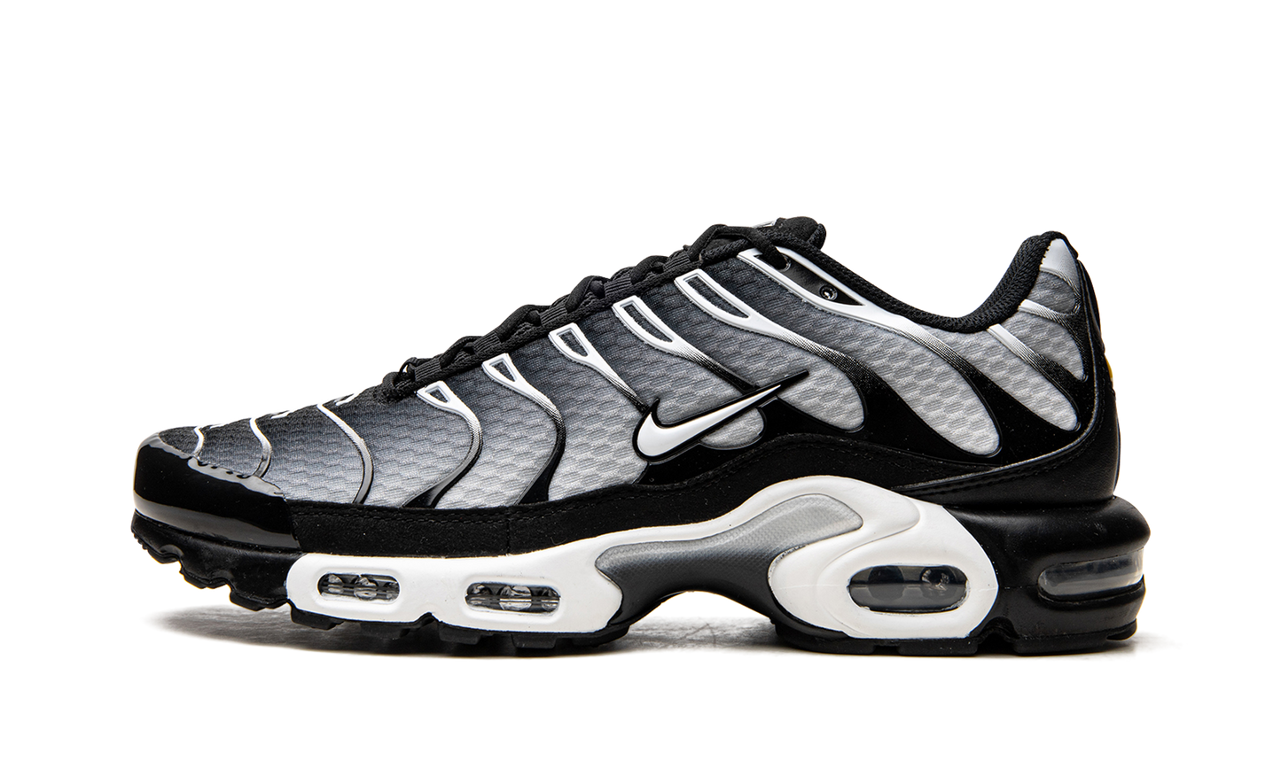 Air Max Plus Black / Silver