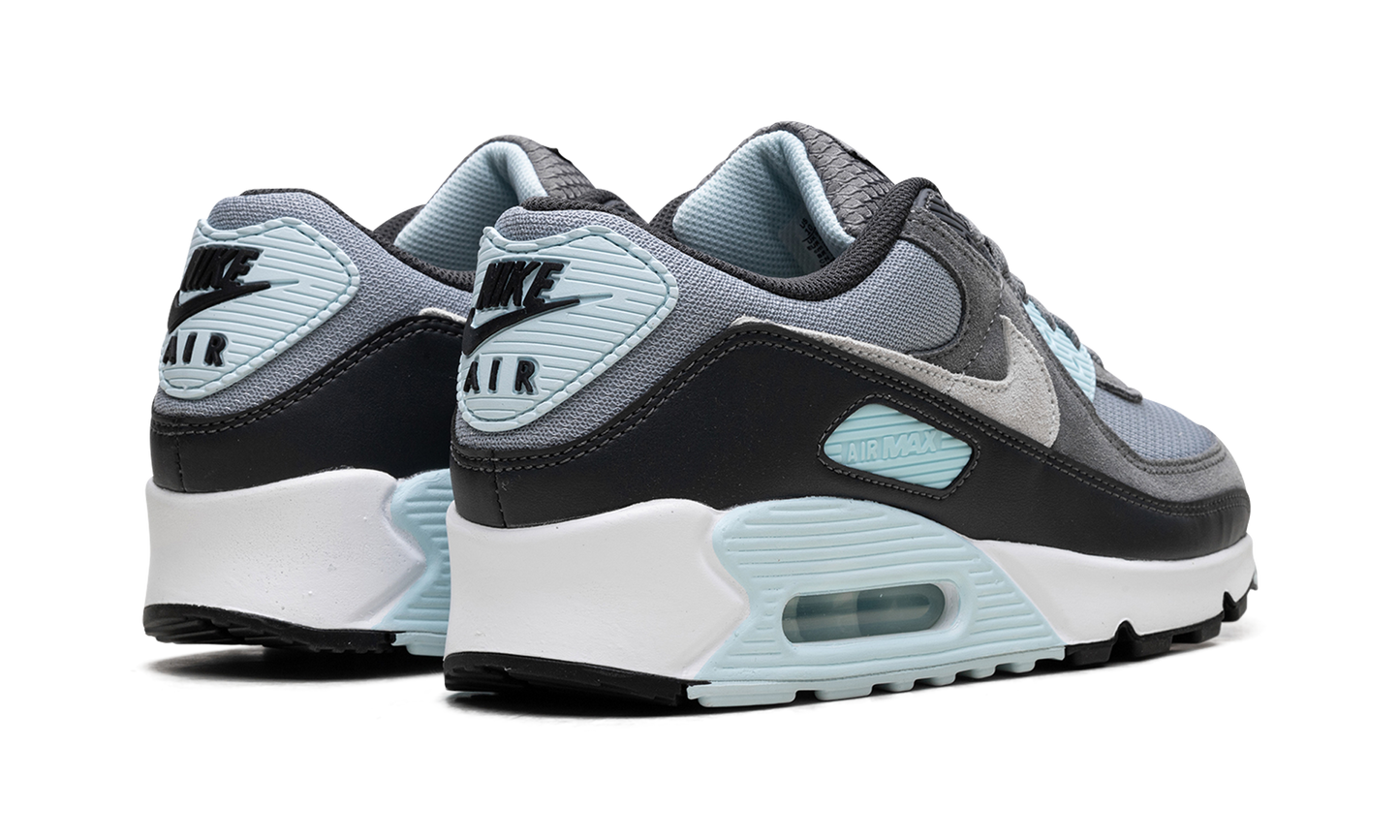 Air Max 90 Pumice