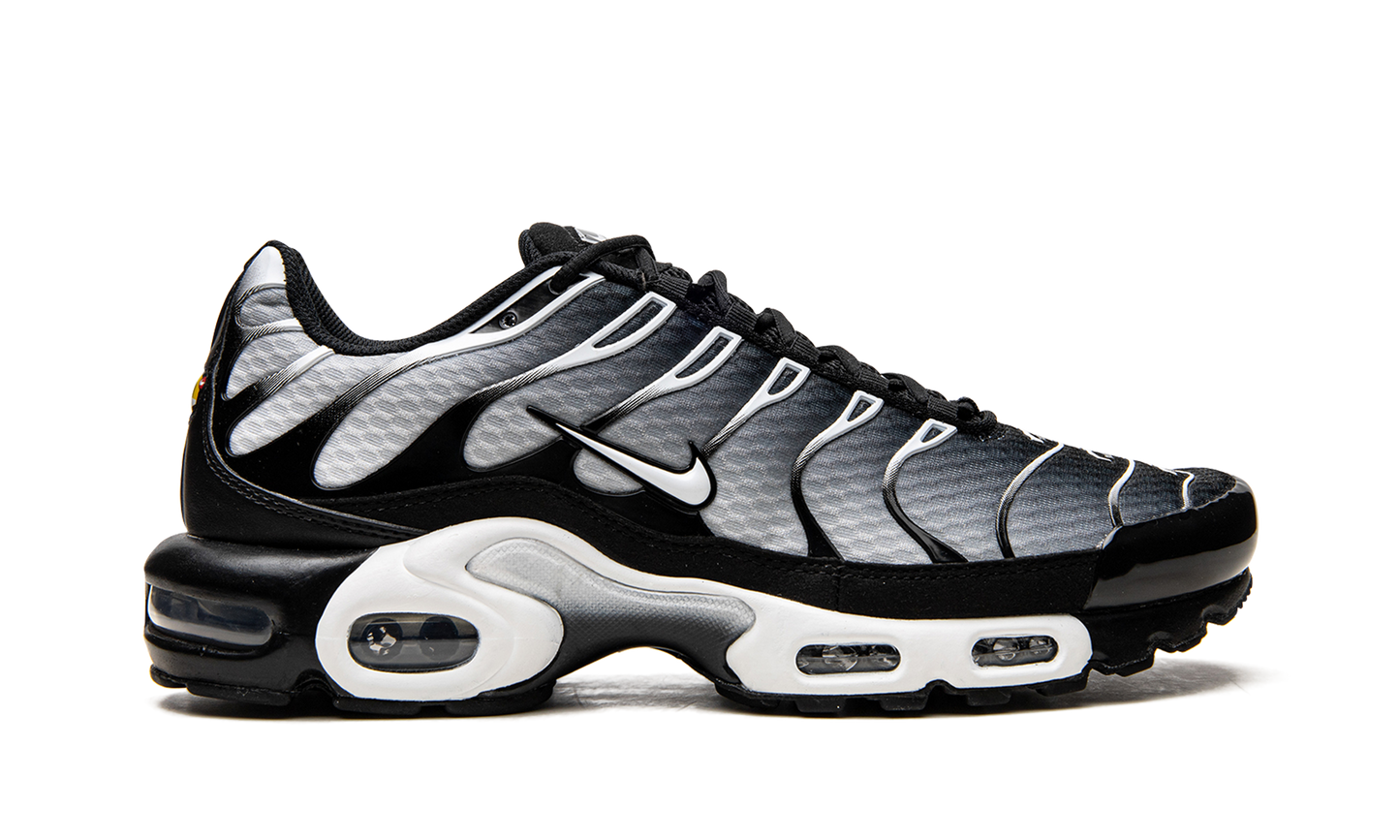 Air Max Plus Black / Silver
