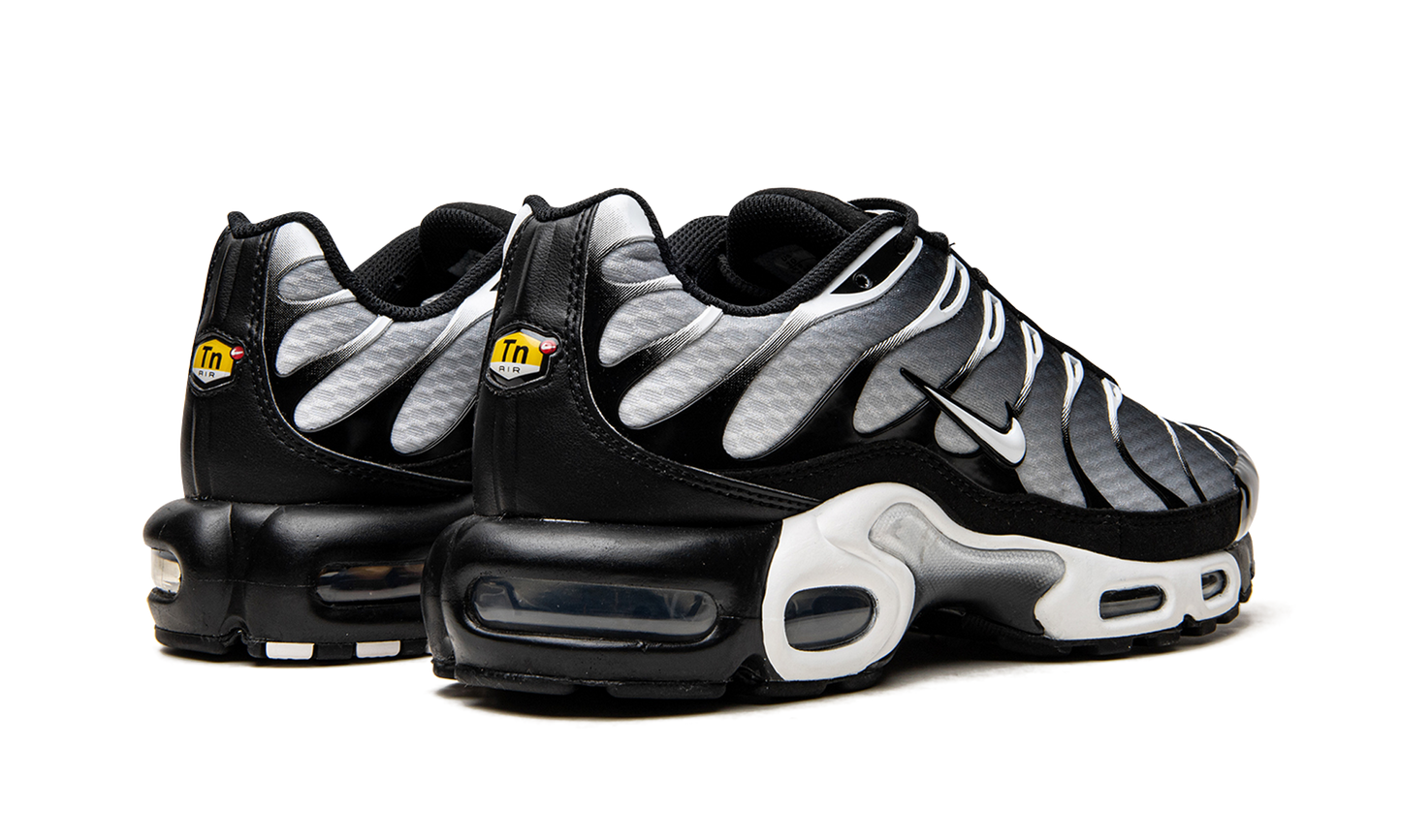 Air Max Plus Black / Silver