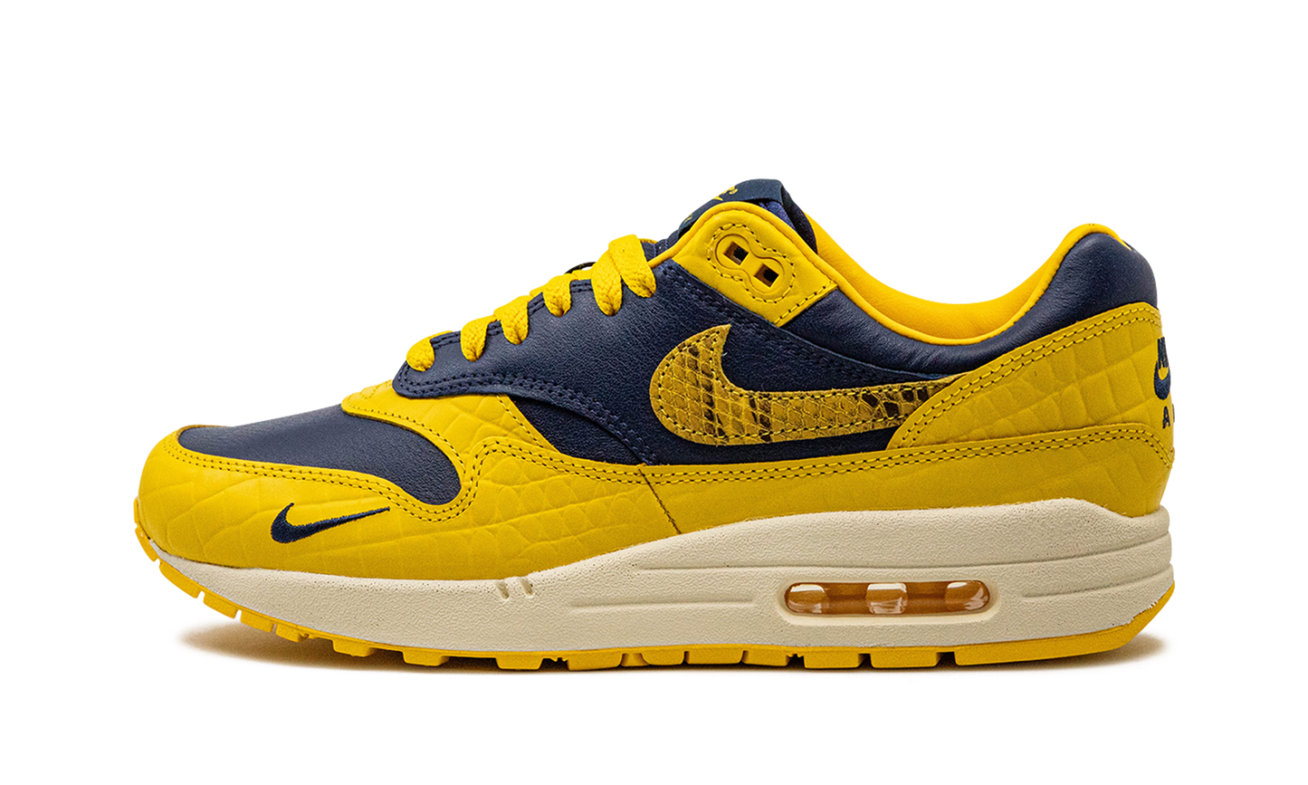 AIR MAX 1 PRM MNS WMNS Co.jp Head to Head