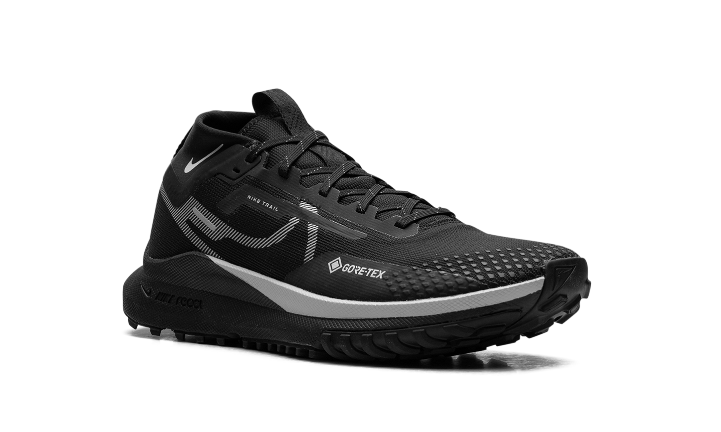 WMNS React Pegasus Trail 4 GTX Reflect Silver