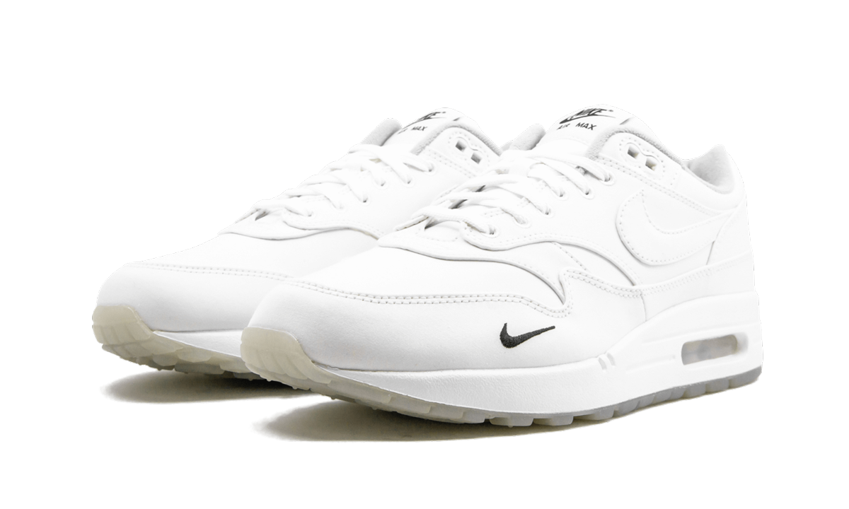Air Max 1 DSM
