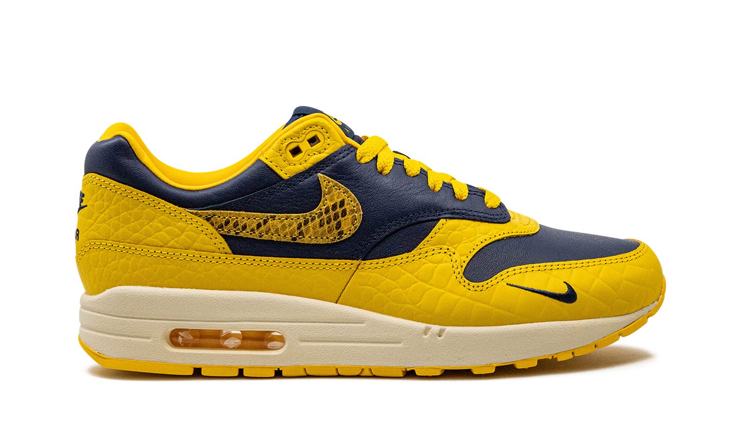 AIR MAX 1 PRM MNS WMNS Co.jp Head to Head