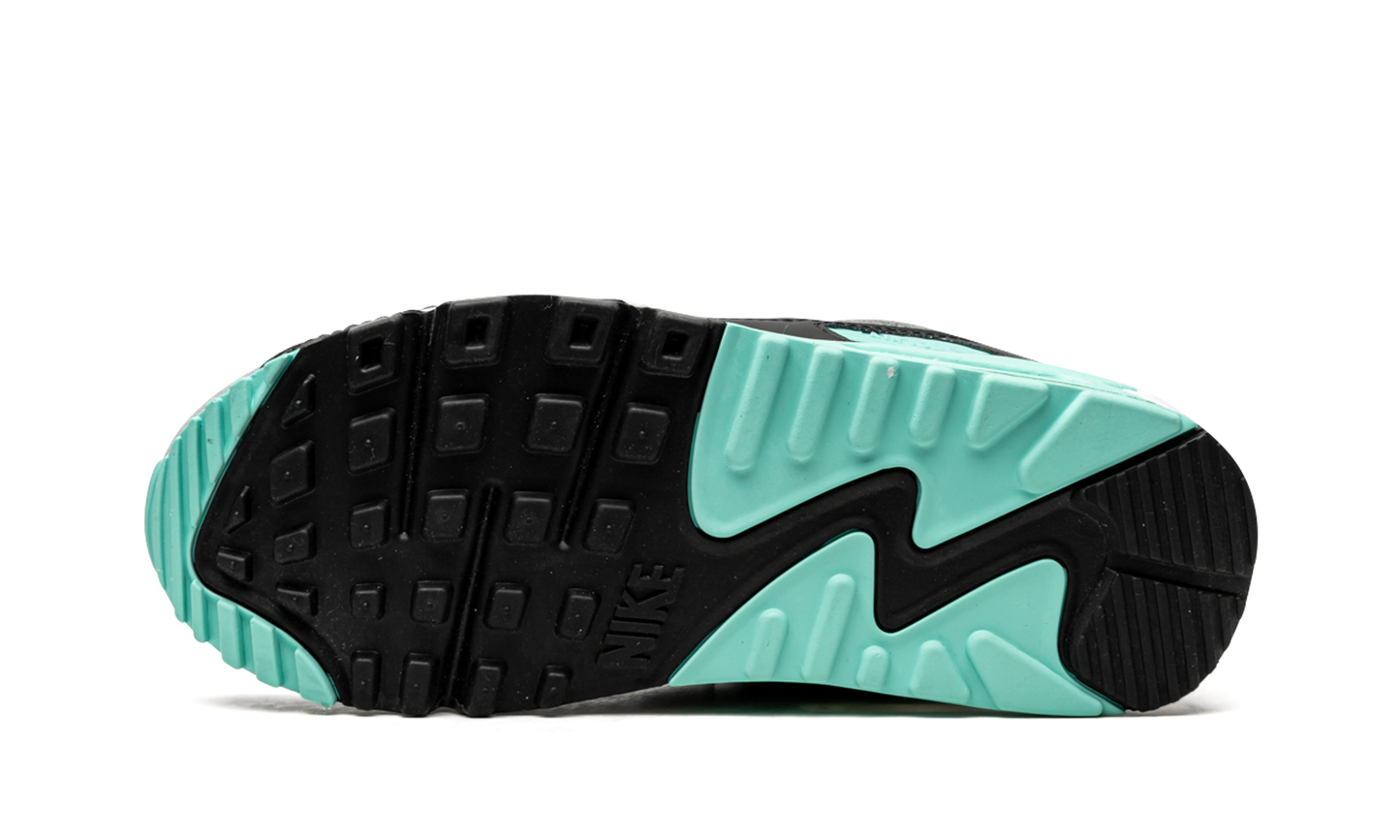 AIR MAX 90 WMNS Turquoise