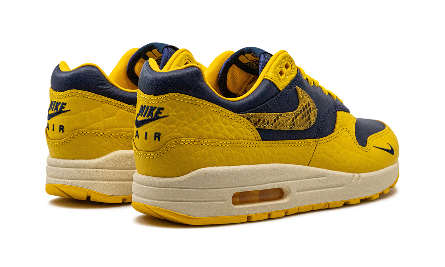 AIR MAX 1 PRM MNS WMNS Co.jp Head to Head