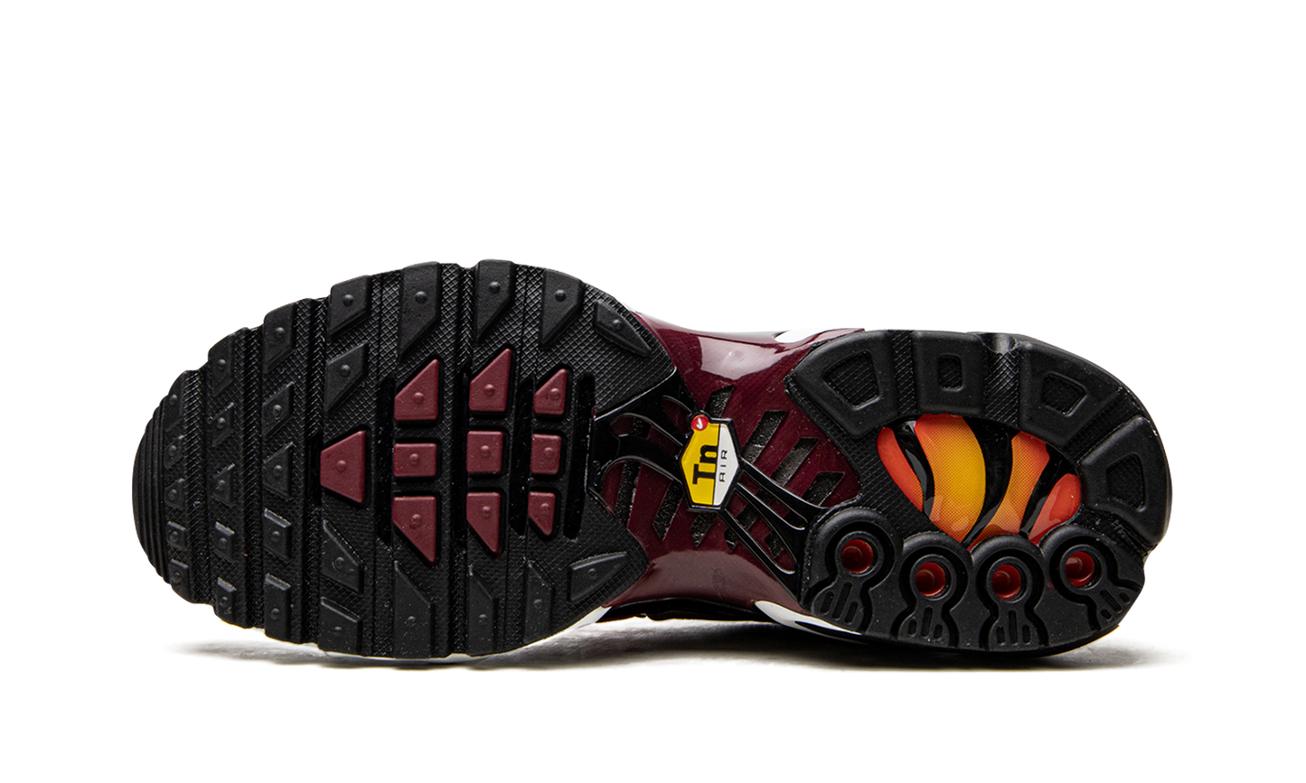 AIR MAX PLUS MNS WMNS Sisterhood