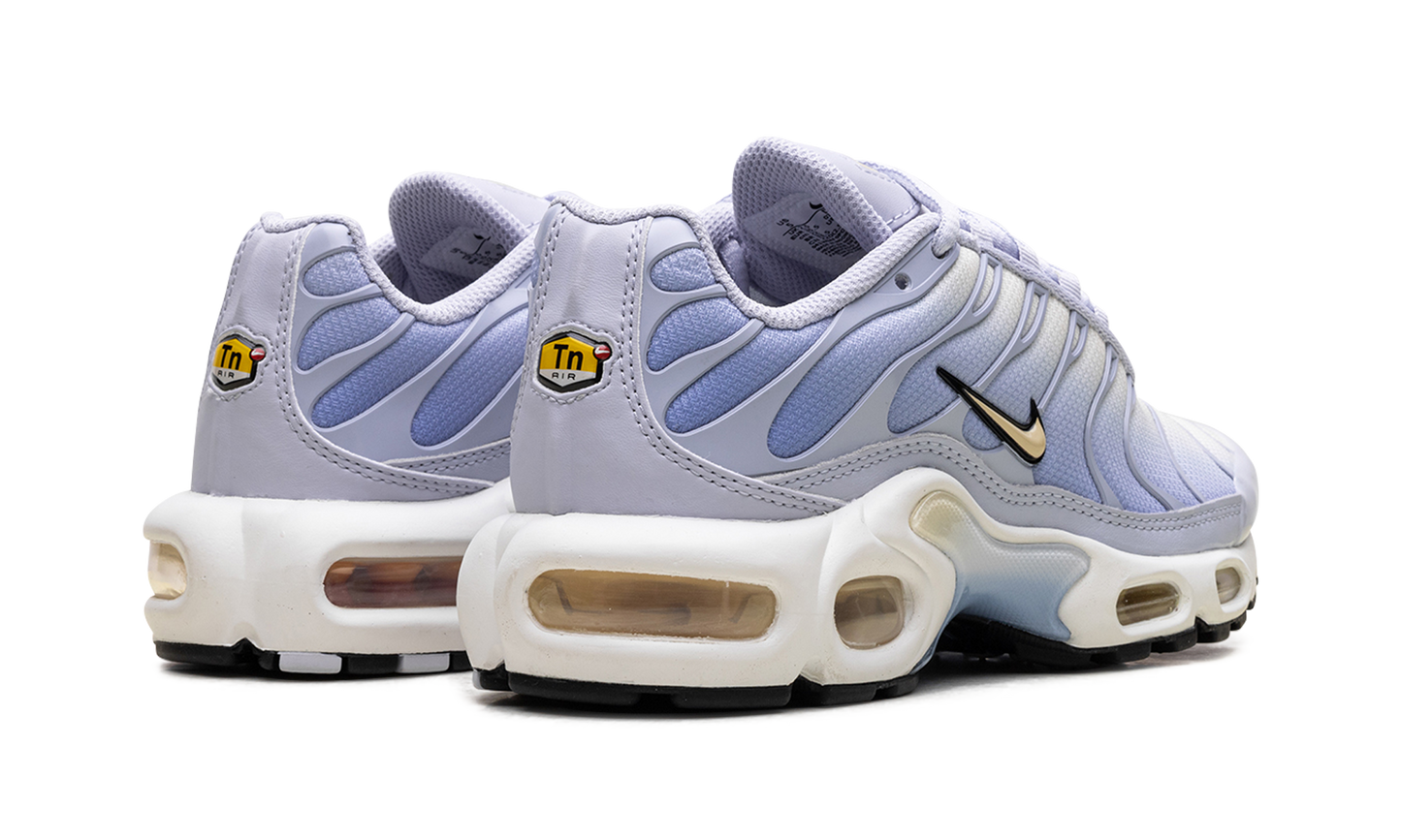 Air Max Plus WMNS Daybreak