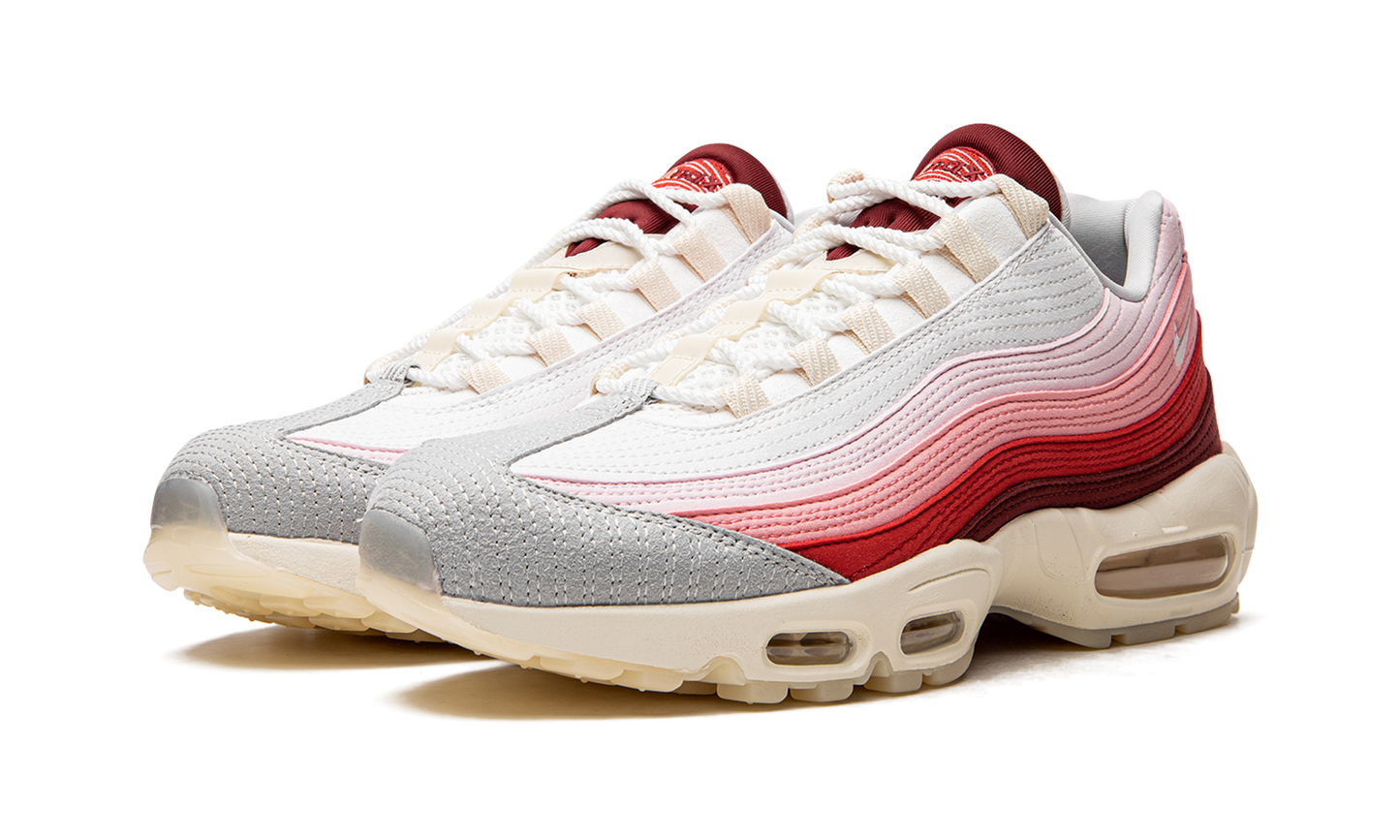 Air Max 95 QS Anatomy of Air