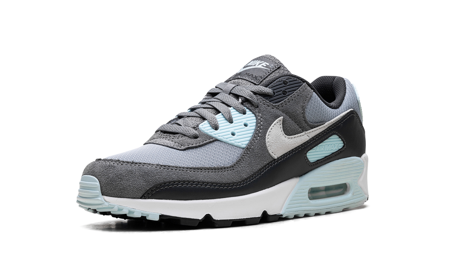Air Max 90 Pumice