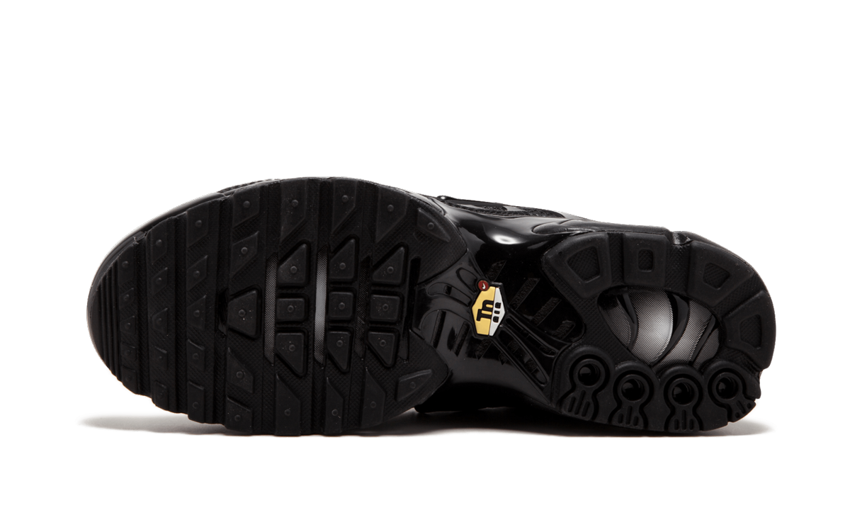 Air Max Plus Triple Black