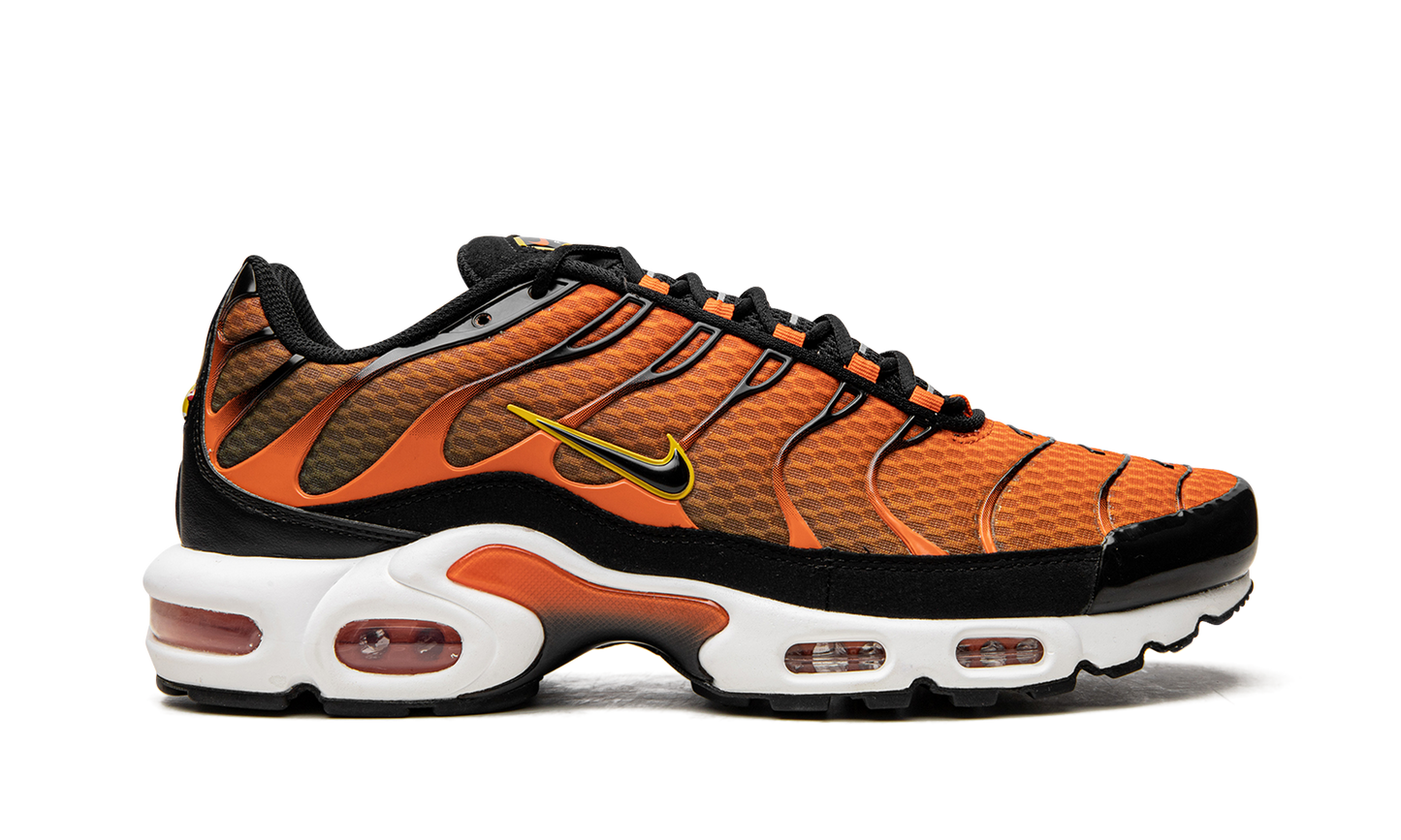 Air Max Plus