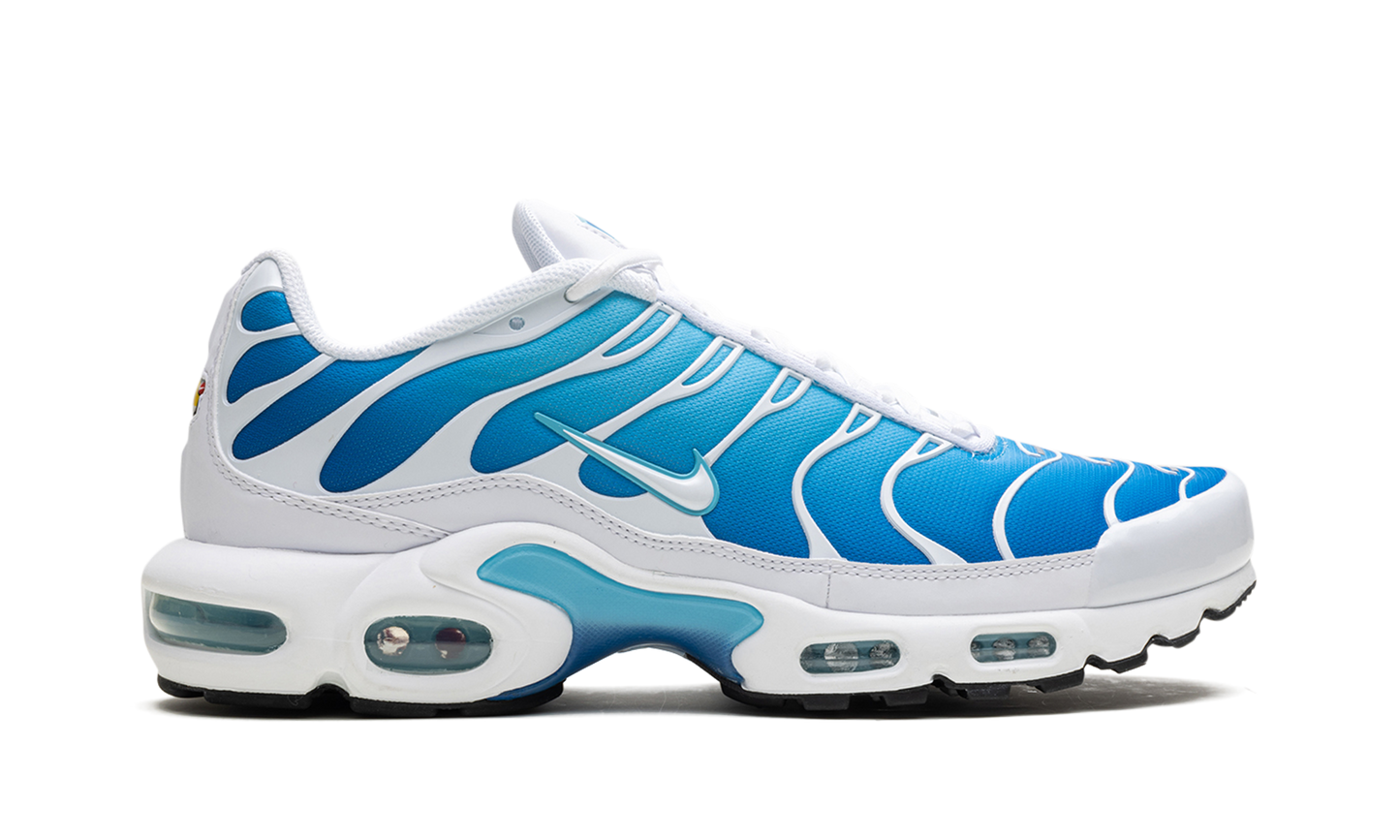 Air Max Plus Blue Gaze