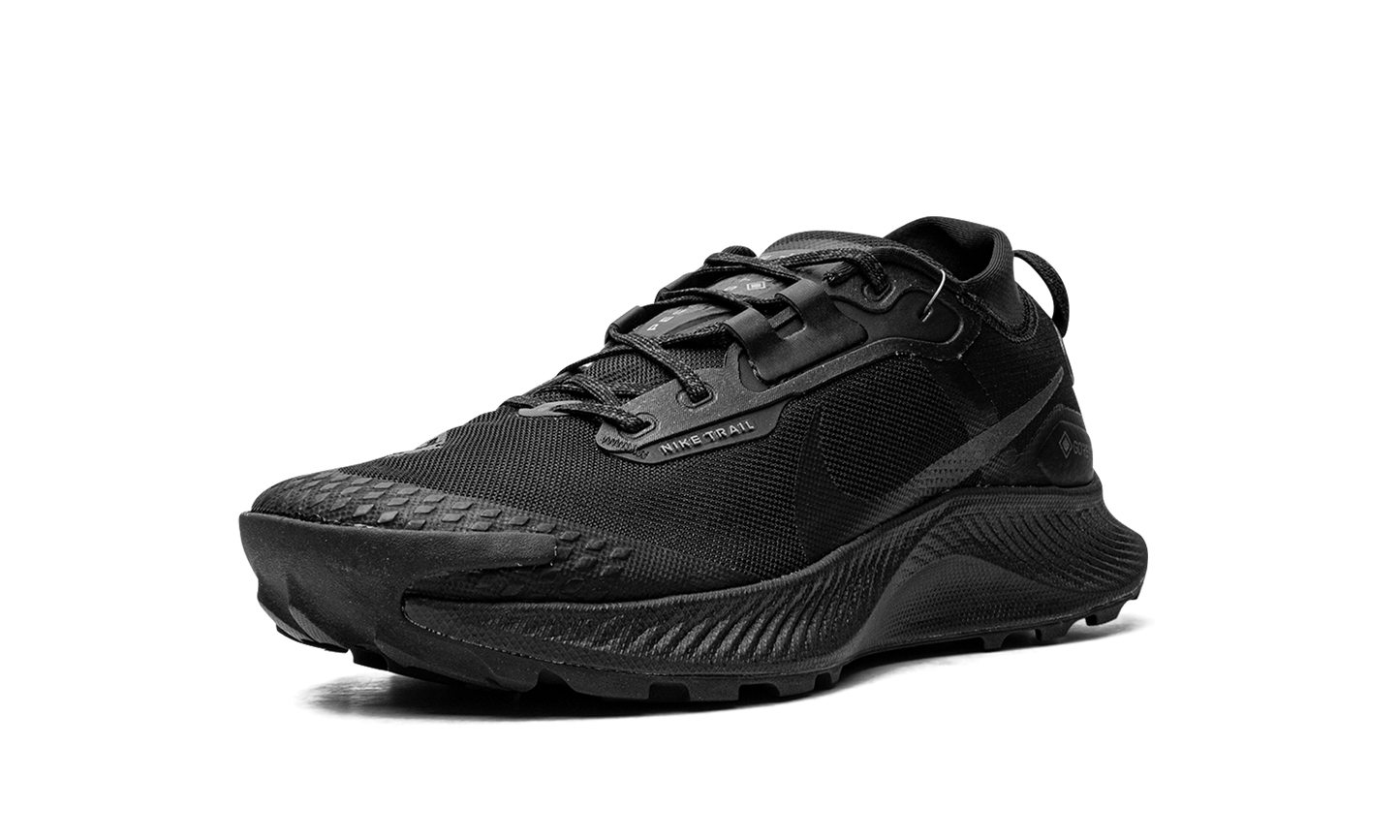 Pegasus Trail 3 GTX  Gore-Tex - Triple Black