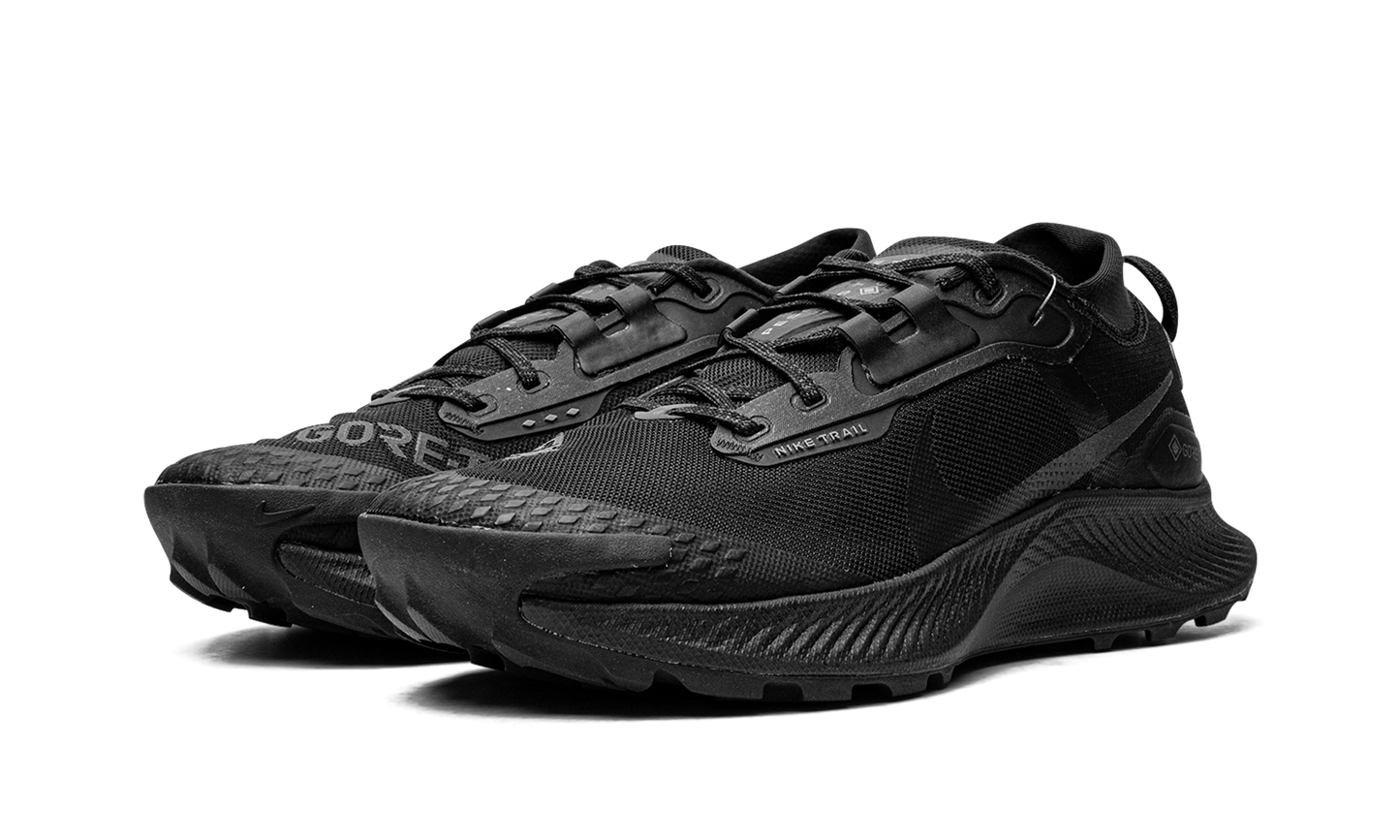 Pegasus Trail 3 GTX  Gore-Tex - Triple Black