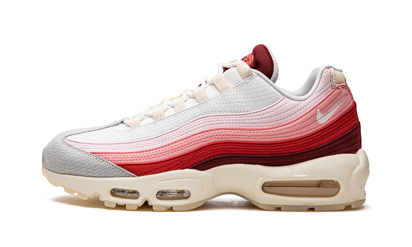 Air Max 95 QS  Anatomy of Air