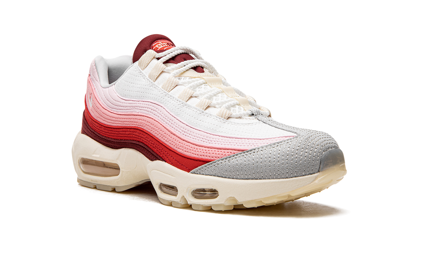 Air Max 95 QS  Anatomy of Air