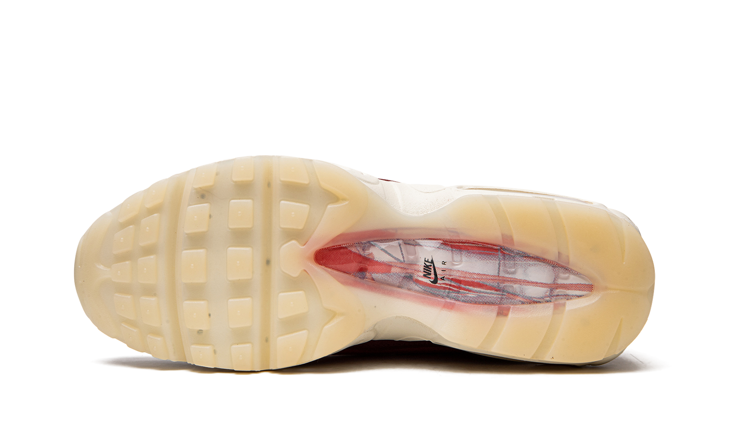 Air Max 95 QS  Anatomy of Air