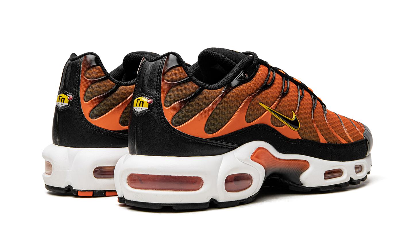 Air Max Plus