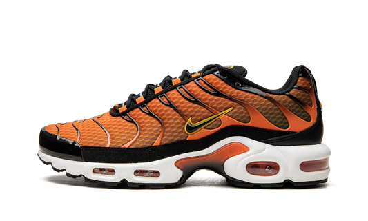 Air Max Plus
