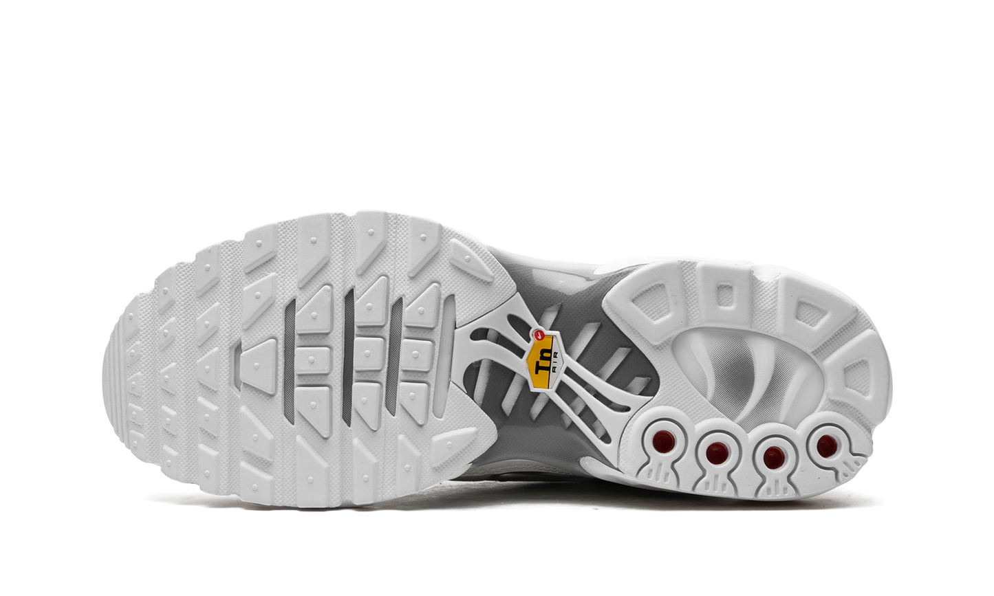 AIR MAX PLUS WMNS  White / Metallic Silver