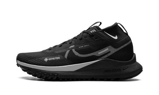 WMNS React Pegasus Trail 4 GTX  Reflect Silver