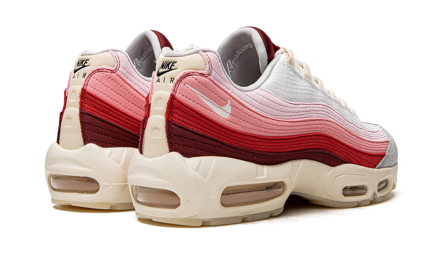 Air Max 95 QS  Anatomy of Air