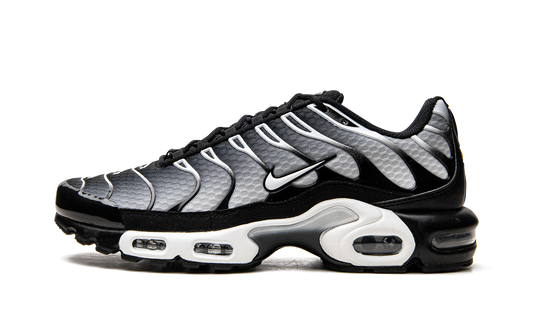 Air Max Plus  Black / Silver