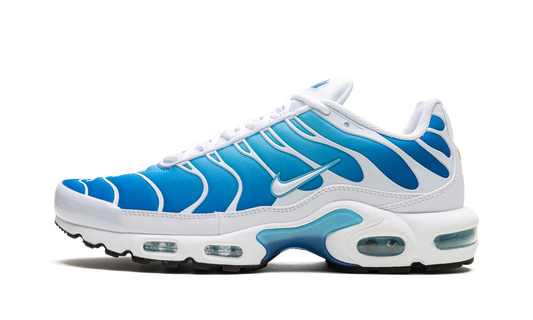 Air Max Plus  Blue Gaze