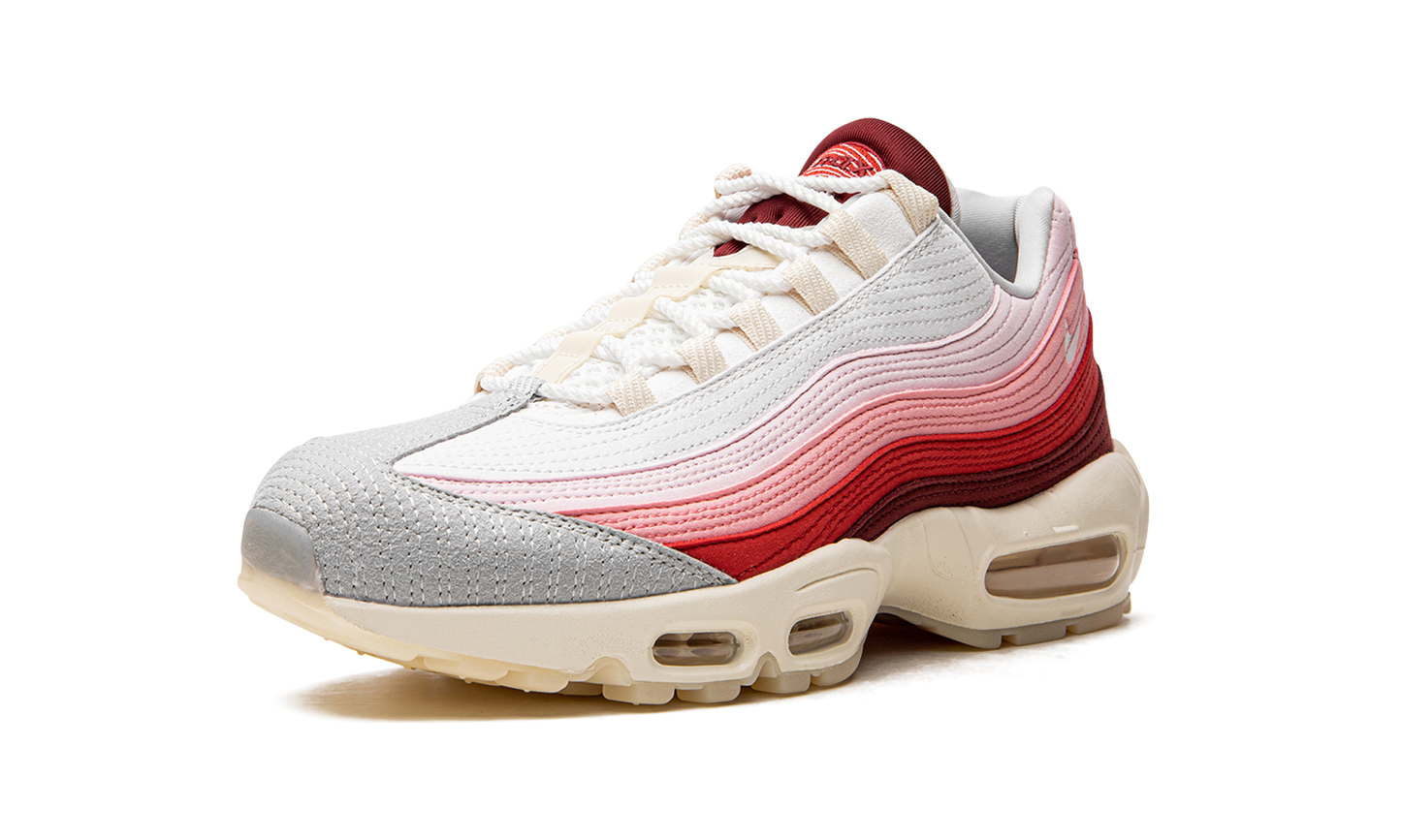 Air Max 95 QS  Anatomy of Air